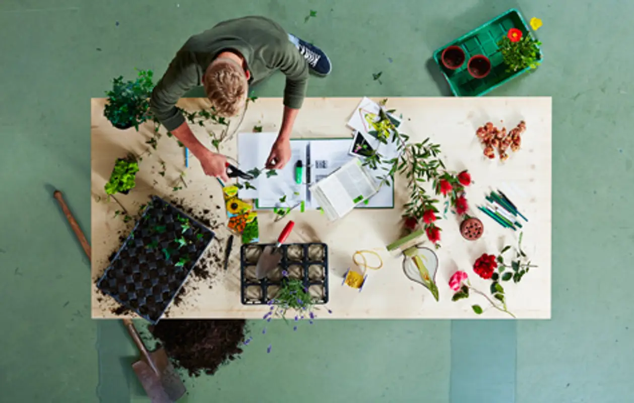 Lehrberuf Florist/Floristin EBA
