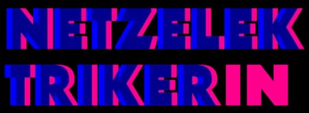 Netzelektriker.ch